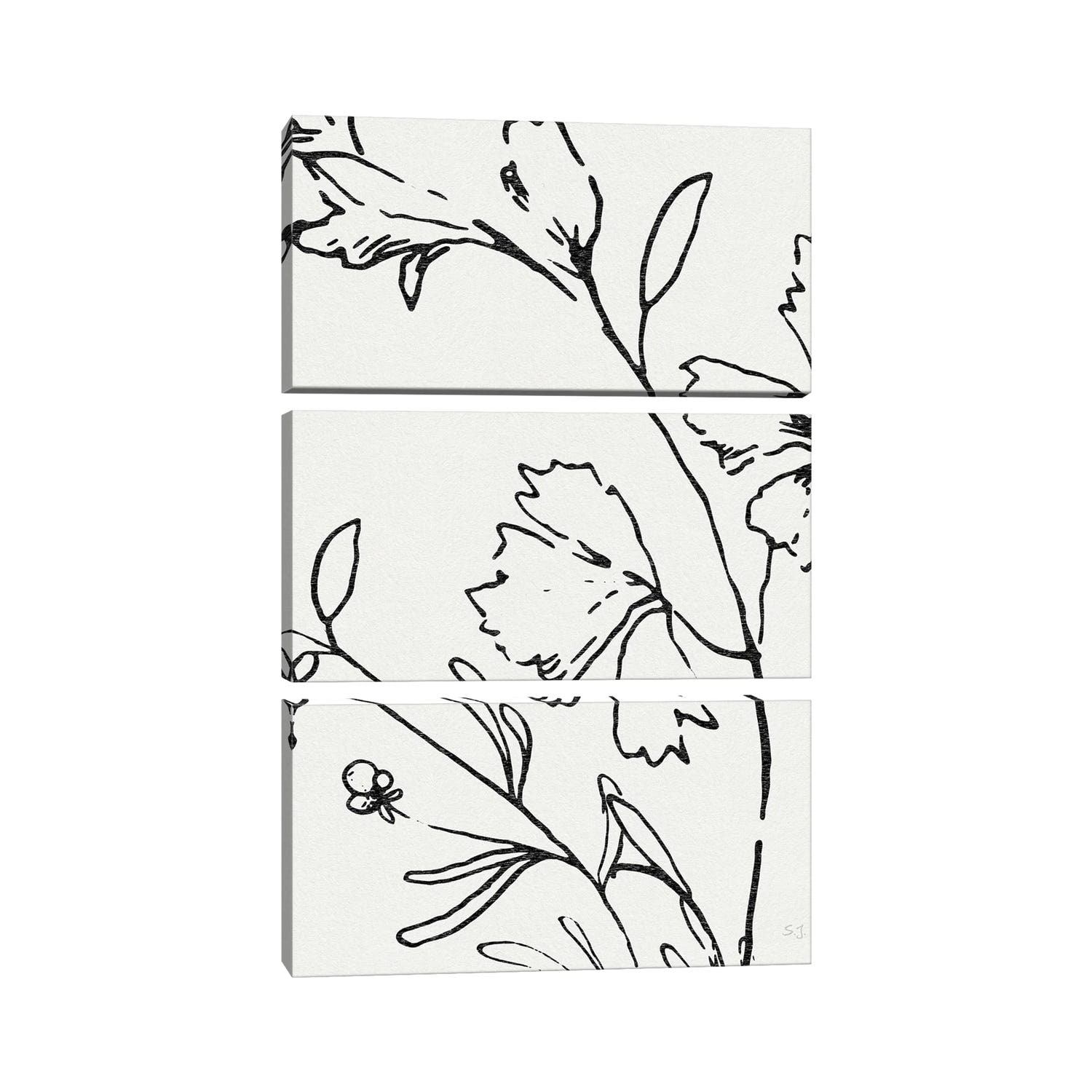 iCanvas "Botanical Sketch II" by Susan Jill 3Piece Canvas Wall Art Set